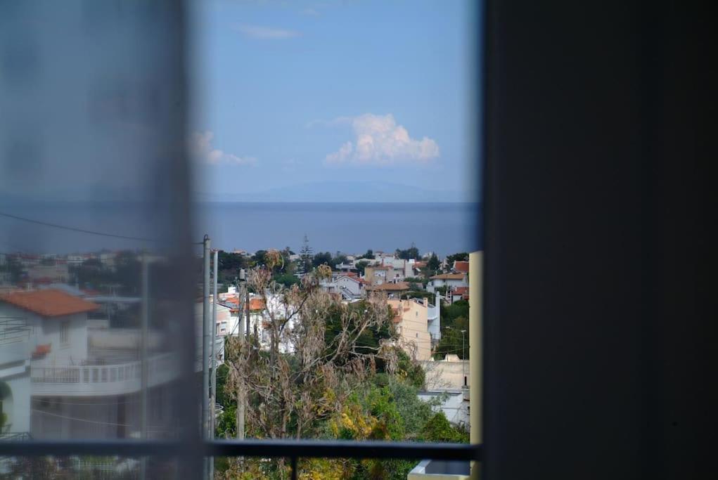 The Artemis House Project Artemida (Attica)